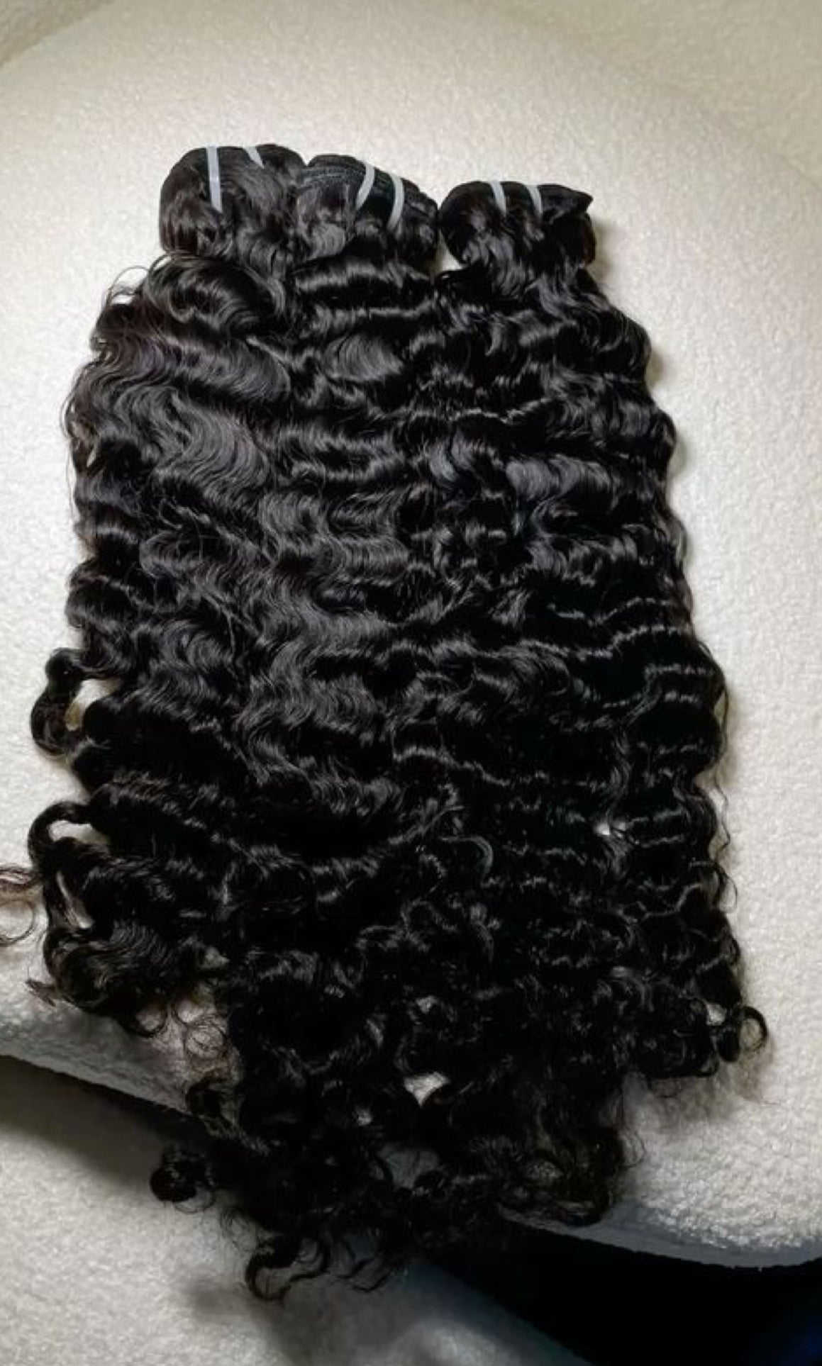 Burmese Curly